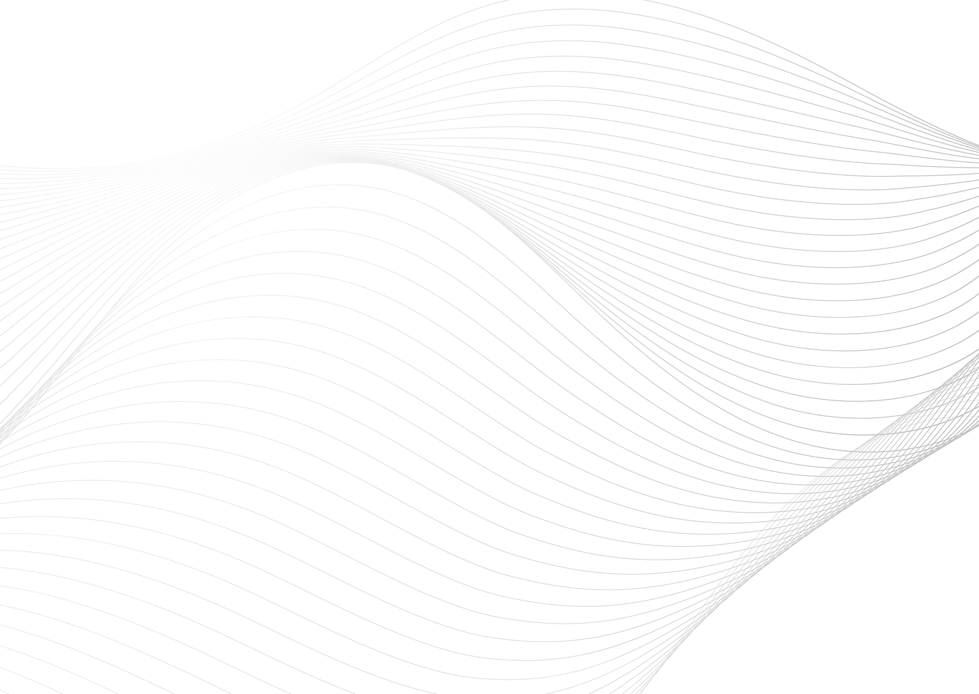 Web Site Tasarımcısı, Kadınhanı